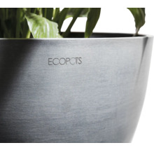 Květináč ECOPOTS s výsadbou