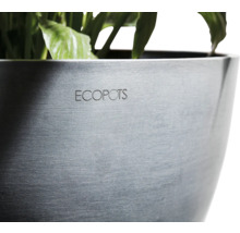 Květináč Ecopots s rostlinami
