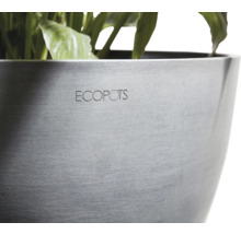 Květináč Ecofpots s rostlinami