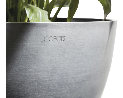 Květináč Ecofpots s rostlinami