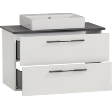 Skříňka pod umyvadlo se dvěma zásuvkami a umyvadlem na desku