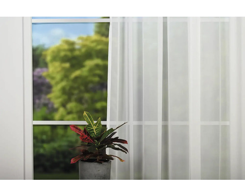 Scéna s oknem, záclonou a pokojovou rostlinou v květináči