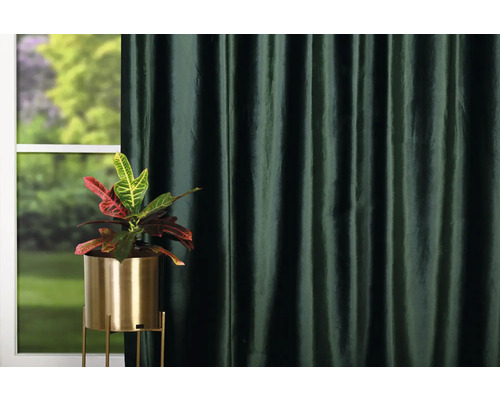 Okrasná rostlina ve zlatém květináči před oknem a závěsem