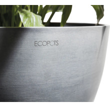 Detailní záběr květináče Ecopot s rostlinami.