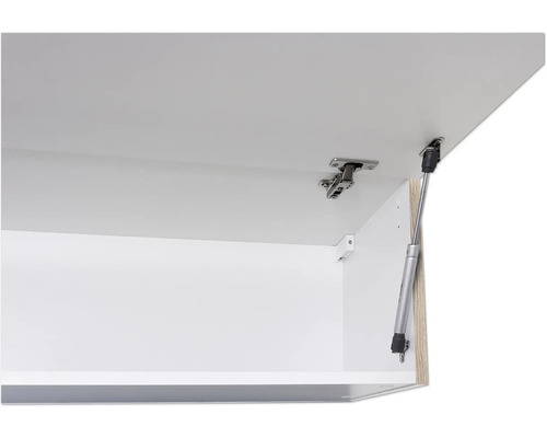 Dvířka skříňky s pantem a plynovou vzpěrou