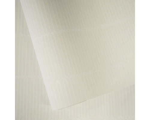 Průsvitná komůrková deska