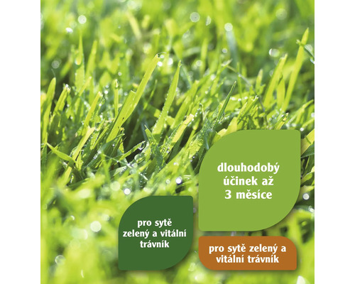 Detailní záběr trávy s informacemi o dlouhodobém účinku a vitální zeleni