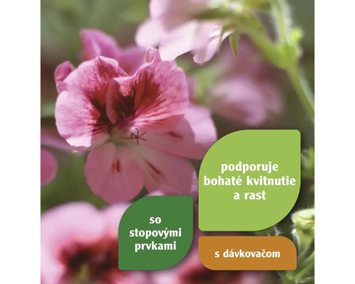 Kvetoucí muškát s informací o složkách a dávkování