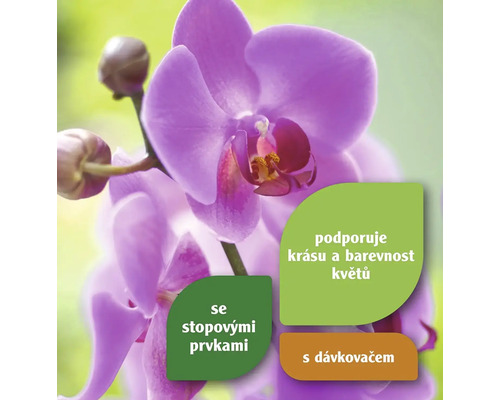 Detail orchideje s informacemi o stopových prvcích a dávkování