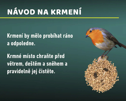 Návod na krmení ptáků
