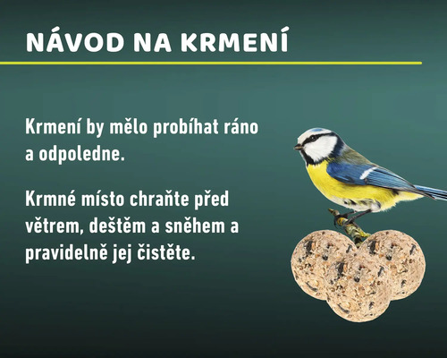Návod ke krmení s modřinkou a lojovými koulemi