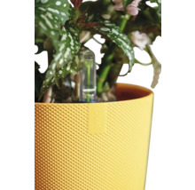 Obal na květináč plastový elho Jazz Ø 14 cm hořčičný