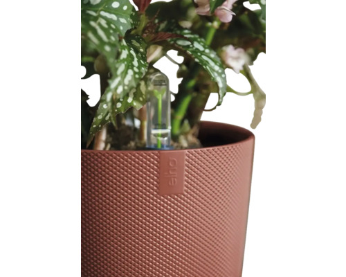 Květináč Elho s rostlinou a ukazatelem hladiny vody