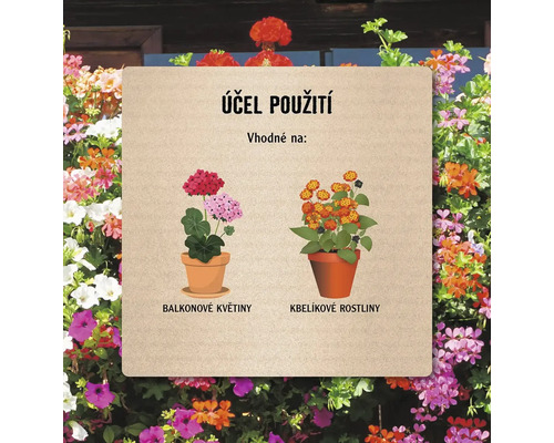 Informace o použití balkónových a kontejnerových rostlin