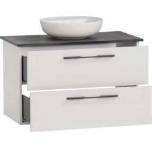 Skříňka pod umyvadlo se dvěma zásuvkami a umyvadlem na desku