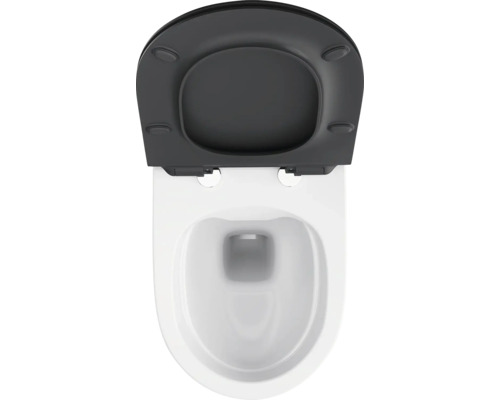 Řezaný záchod s tmavým záchodovým sedátkem