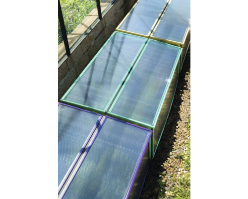 Skleník s polykarbonátovými deskami a barevnými rámy