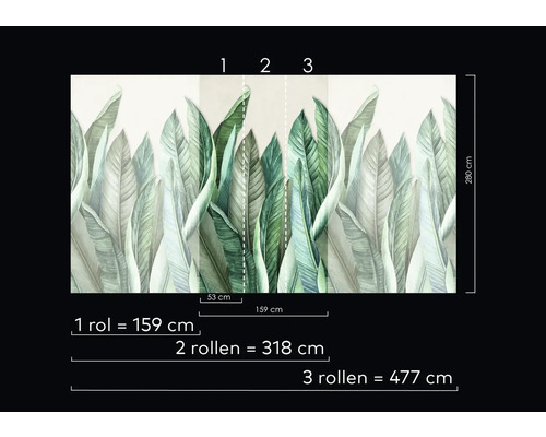 Fototapeta se vzorem listů a údaji o velikosti