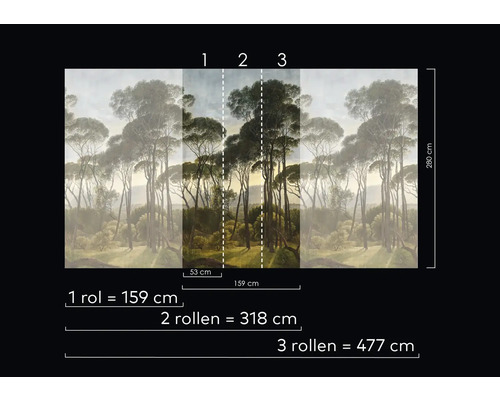 Rozměry fototapety lesa se stromy