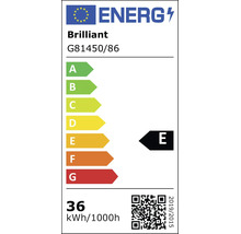 Energetický štítek EU Brilliant G81450/86, energetická třída E, spotřeba 36 kilowatthodin na 1000 hodin.