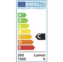 Energetický štítek C, 300 lumenů, 7500 hodin