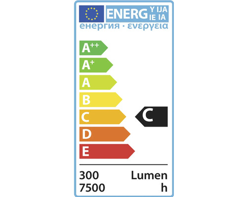 Energetický štítek C, 300 lumenů, 7500 hodin