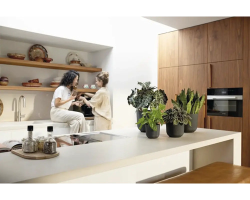 Světlá kuchyně s dřevěnými prvky a pokojovými rostlinami v květináčích na pracovní desce