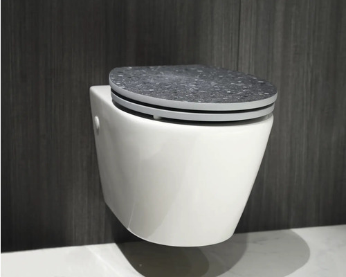 Závěsné WC s WC sedátkem