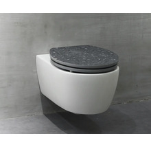 Závěsné WC s WC sedátkem