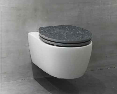 Závěsné WC s WC sedátkem