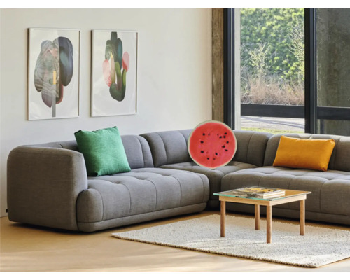 Obývací pokoj s šedou rohovou sedačkou, polštáři, konferenčním stolkem a nástěnnými malbami