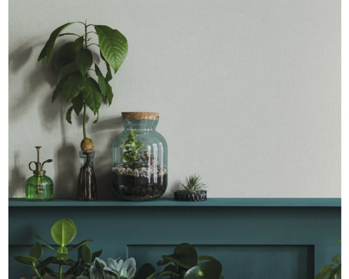 Dekorativní scéna s rostlinami ve skleněných nádobách a rozprašovačem na polici