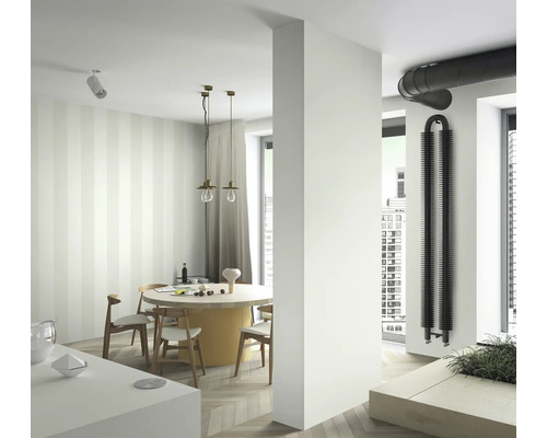 Světlý pokoj s jídelním stolem, židlemi a černým radiátorem