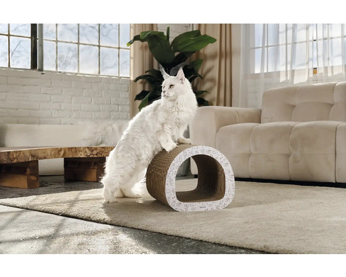 Kočka na kartonovém škrabadle v obývacím pokoji