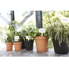Podmiska plastová elho Green Basics Ø 22 cm černá