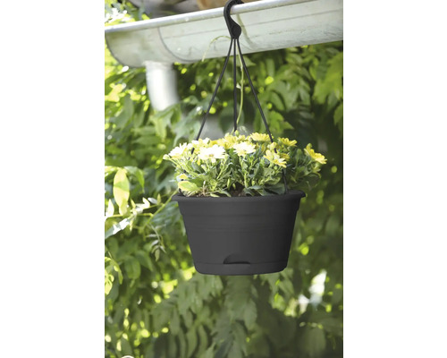 Závěsný květináč se žlutými květy, připevněný k okapu