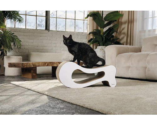 Černá kočka sedí na kartonovém škrabadle v obývacím pokoji