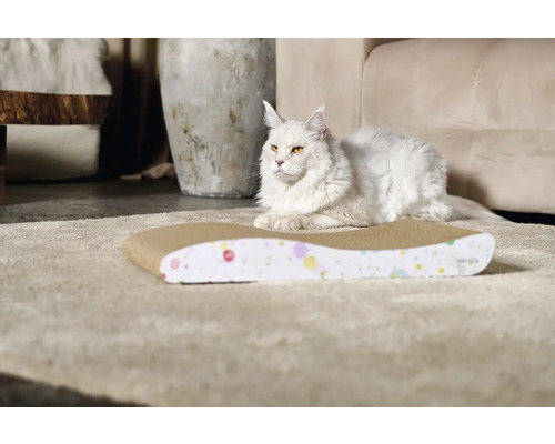 Kočka leží vedle škrabadla na koberci