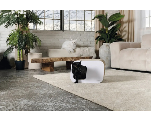 Obývací pokoj s kočičí toaletou, pohovkou a pokojovými rostlinami