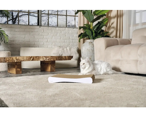 Obývací pokoj s škrabadlem a bílou kočkou na koberci před pohovkou