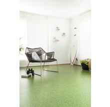 Obývací pokoj se zelenou podlahovou krytinou, židlí a surfovacím prknem