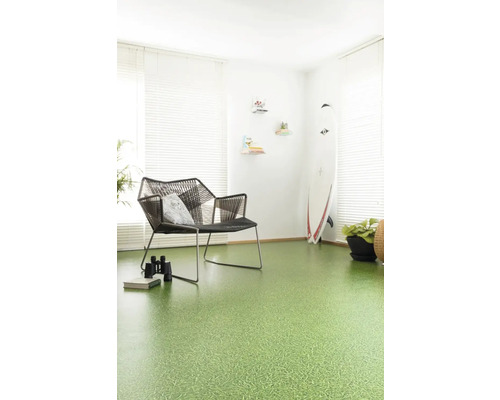 Obývací pokoj se zelenou podlahovou krytinou, židlí a surfovacím prknem