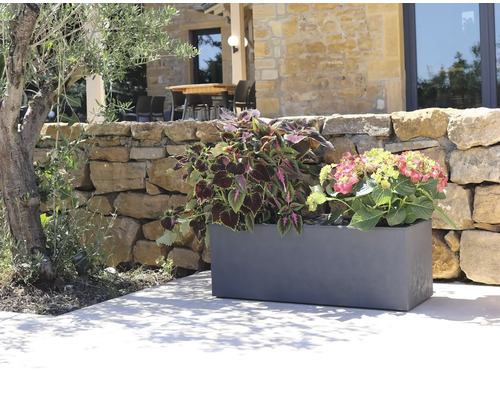 Plastový květináč s rostlinami před kamennou zdí