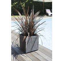 Rostlina ve čtvercové nádobě na rostliny na dřevěné terase vedle bazénu