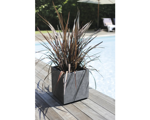 Rostlina ve čtvercové nádobě na rostliny na dřevěné terase vedle bazénu