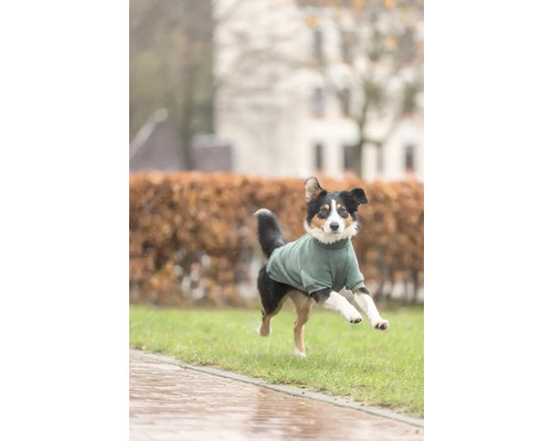 Pes se zeleným psím svetrem běží po trávníku.