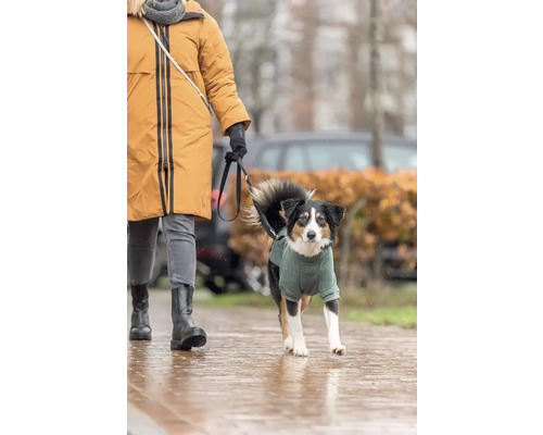 Žena venčí psa na vodítku