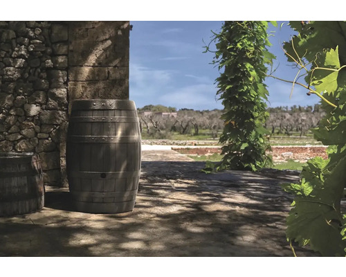 Scéna se dvěma sudy a rostlinnou stěnou