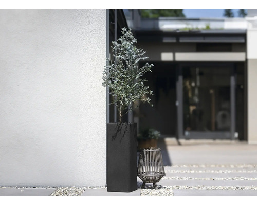 Venkovní scéna s rostlinou ve vysoké tmavé nádobě a dekorativní lucernou