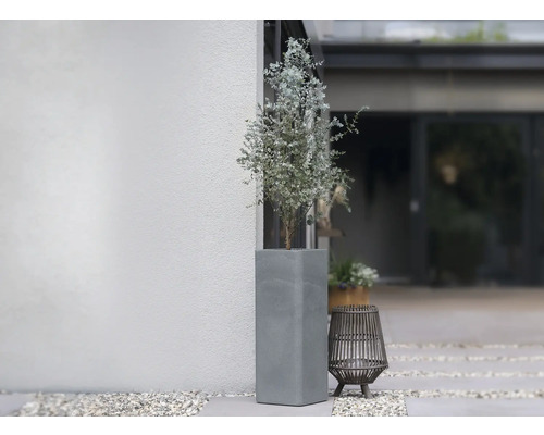 Betonový květináč s rostlinou venku